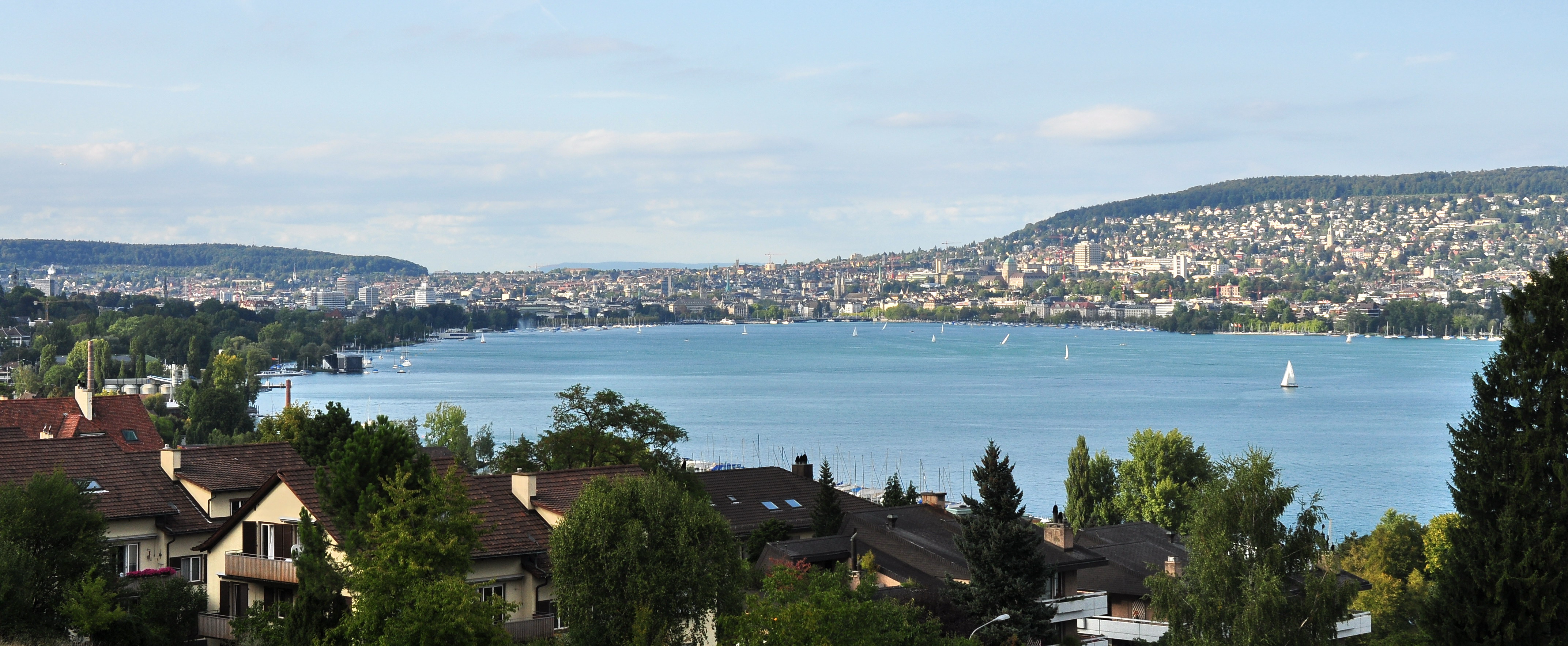 Zürich Panorama